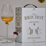 Villa Brichot Gros Manseng 2024